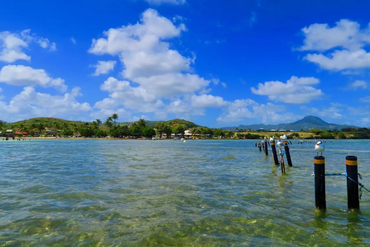 Appartement Papay Dans Villa Fleurs Des Iles Le Vauclin