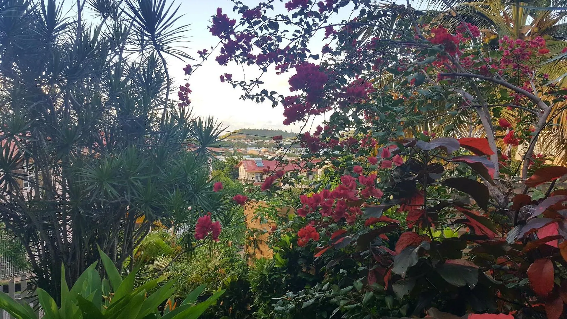 Appartement Papay Dans Villa Fleurs Des Iles Le Vauclin 0*,