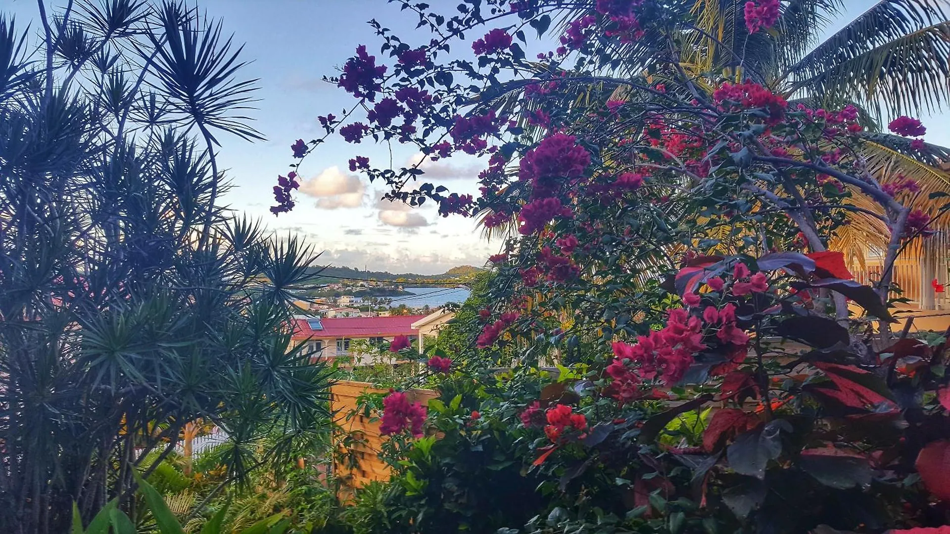 Appartement Papay Dans Villa Fleurs Des Iles Le Vauclin Apartment
