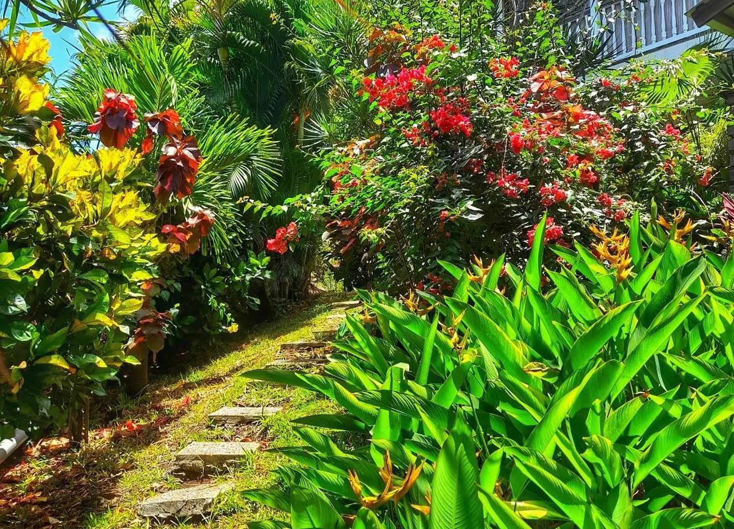 Appartement Papay Dans Villa Fleurs Des Iles Le Vauclin 0*,  Martinique